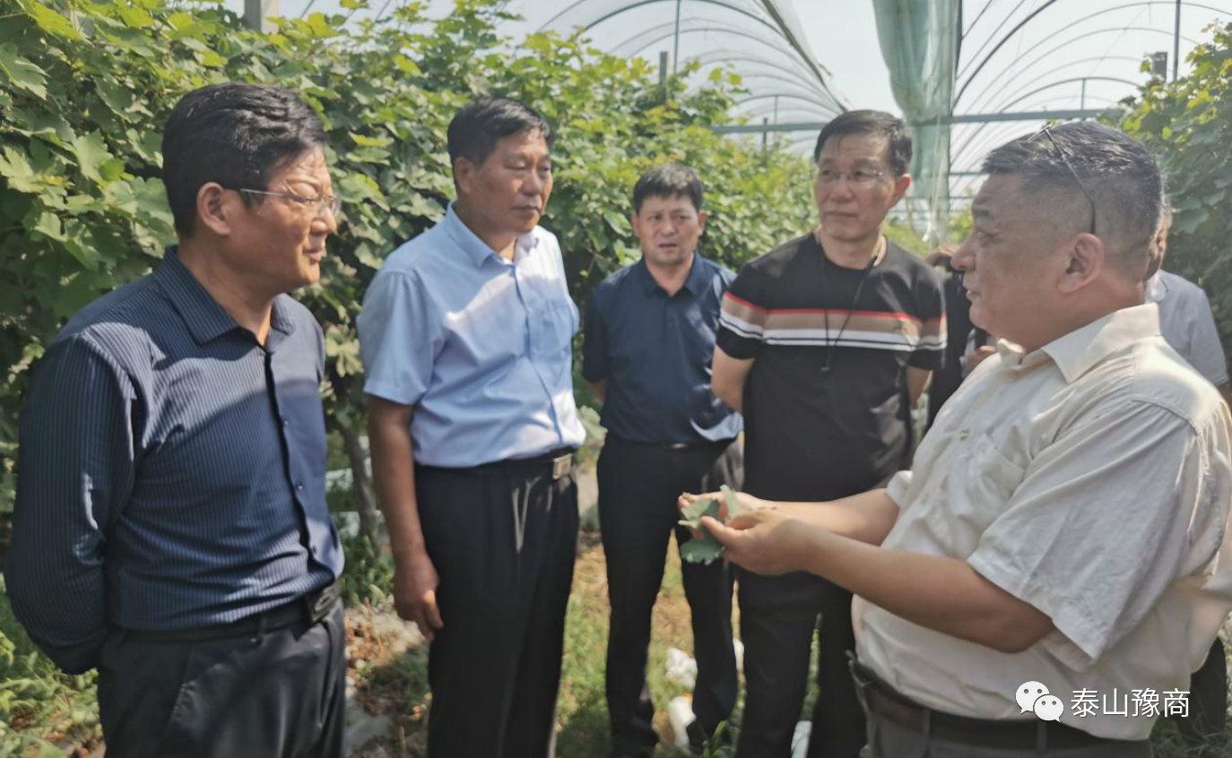 市农科院食用菌所所长孔怡,岱岳区科学技术局副局长郑树峰陪同活动