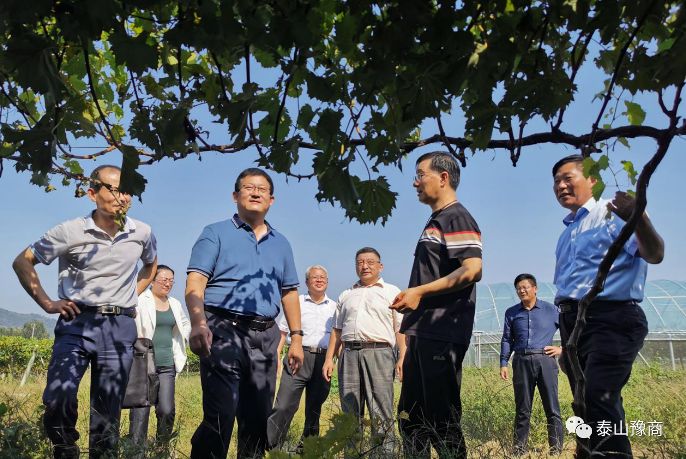 市农科院食用菌所所长孔怡,岱岳区科学技术局副局长郑树峰陪同活动