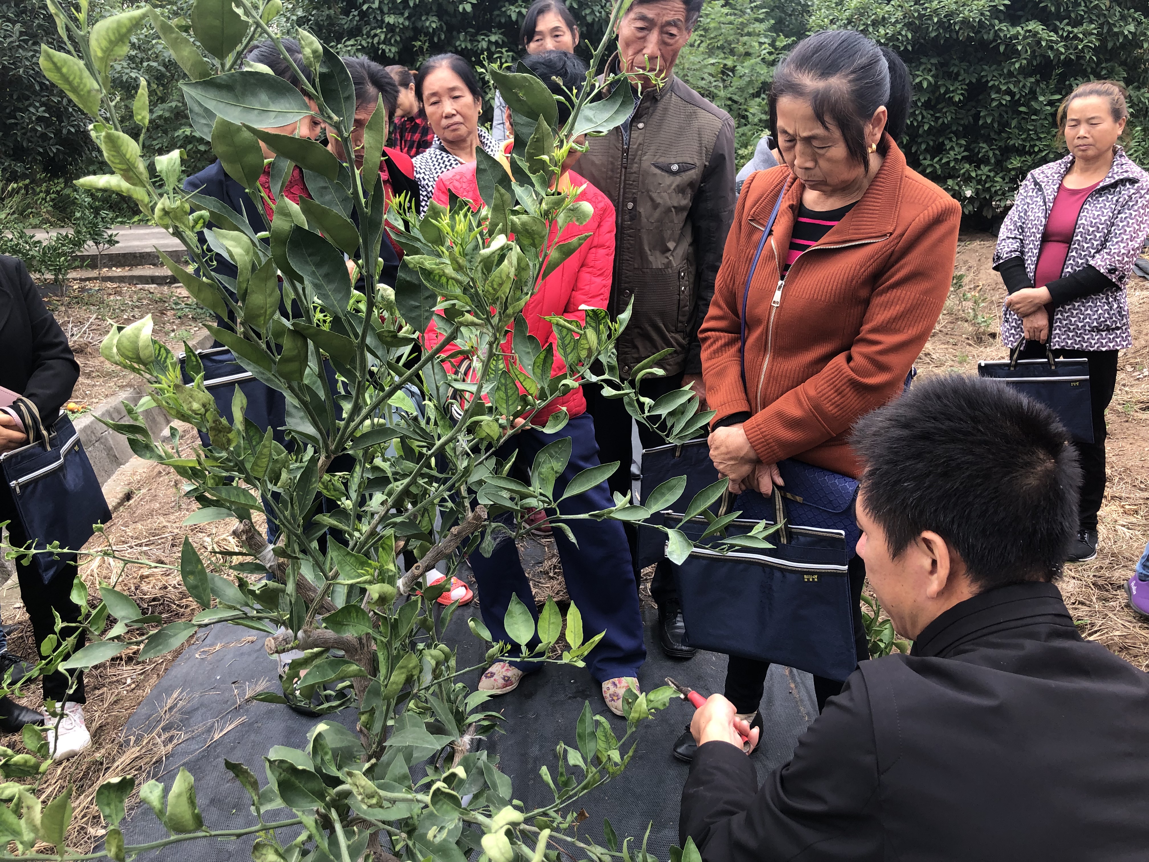 现场教学 (17).JPG