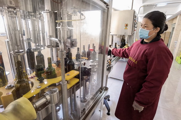 葡萄酒灌装生产线正全速运行2-1.jpg