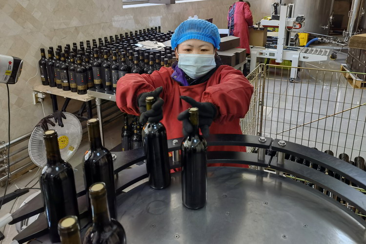 葡萄酒灌装生产线正全速运行1-1.jpg