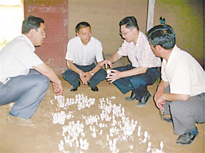 <p>　　林戎斌（右2）和科技人员研究蘑菇种植技术。　　　　　　　（图片由受访者提供）</p>