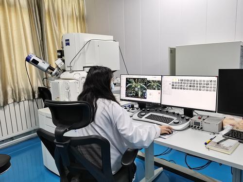 binary_middle (11).jpg