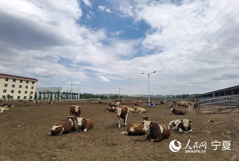 LOCAL202107261112000460230200064.jpg?x-oss-process=style/w10