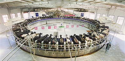 <p>　　五里坡奶牛生态养殖基地新上四期项目。</p>