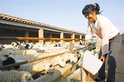 <p>　　“盐池滩羊”品牌价值达88亿元。</p>