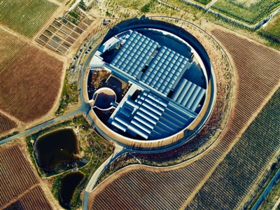 <p>　　小葡萄串起紫色大产业。</p>