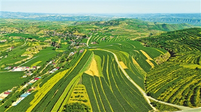 <p>　　固原市生态恢复与产业发展齐头并进。</p>