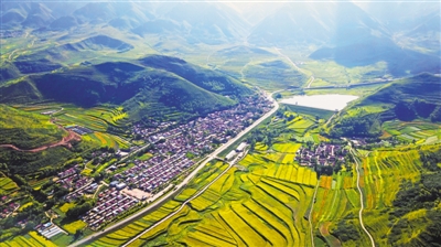 <p> 筑牢生态屏障。</p>