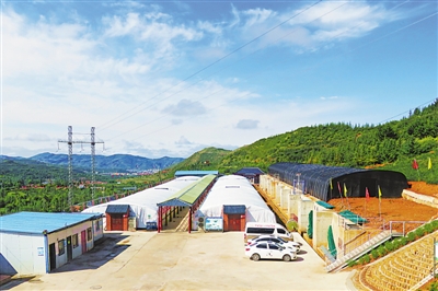 <p> 建在六盘山上的蘑菇菌棚。</p>