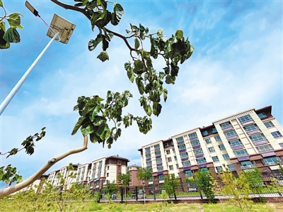 <p> 安置区内树影婆娑,一排排农民新居依次铺开。</p>