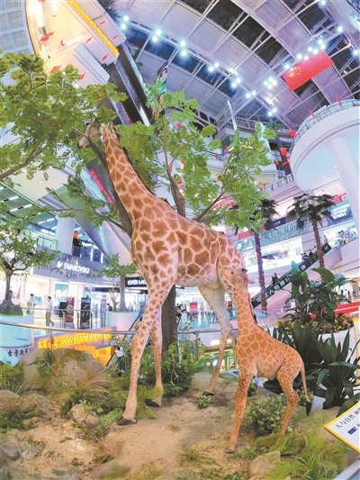 设立于正佳广场的自然科学博物馆。王维宣 摄