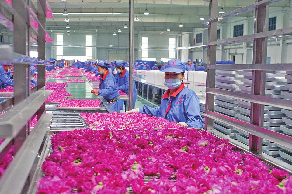 济南市生物医药产业链“链长制”一周年——展望未来 实现新跨越