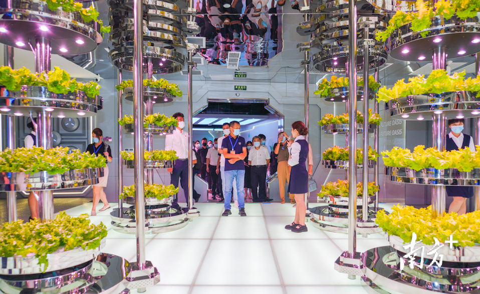 大湾区首个都市现代农业园在广州“城市客厅”亮相。&nbsp;