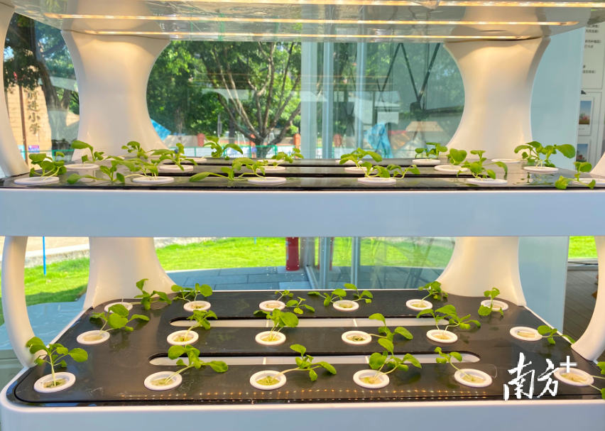 天河精品农业公园集科技示范、生态观光、科普教育于一体。