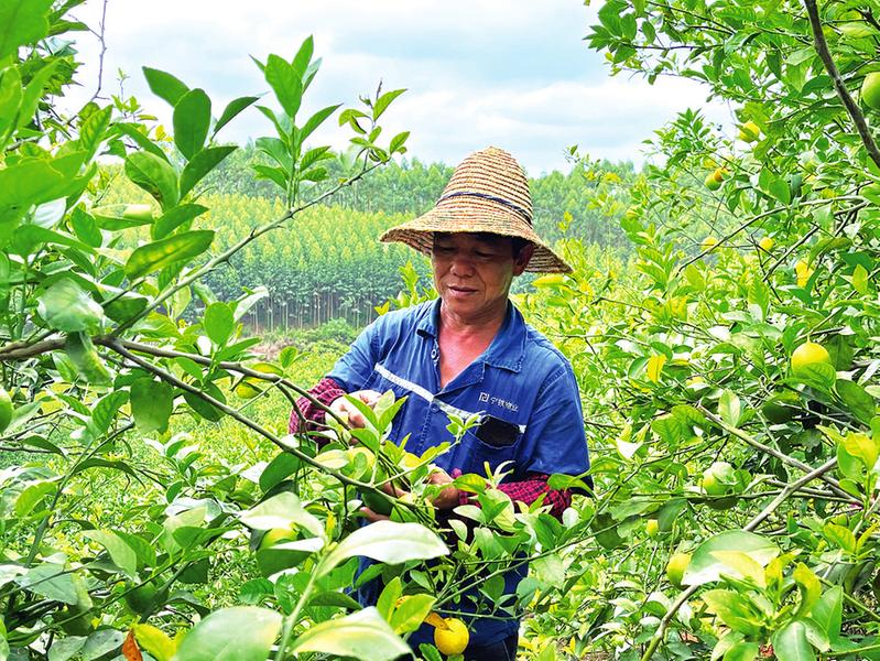 小柠檬大作为 鼓了腰包美了生活 学术资讯 - 科技工作者之家