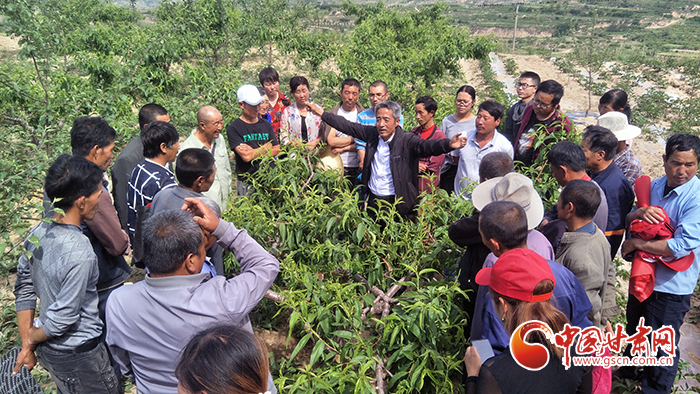 甘肃尽显“科技范儿”打造西部地区创新驱动发展新高地