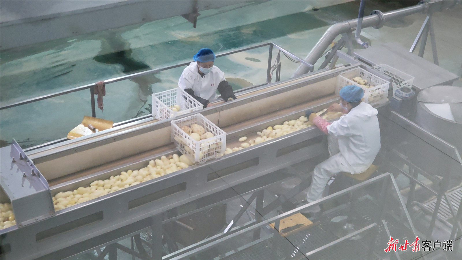 甘肃“五路突进”培育马铃薯产业高质量发展