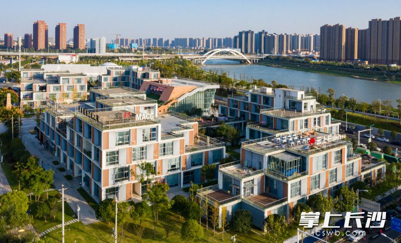 依托“海拔不高产业高”的马栏山视频文创产业园，开福区将打造“两河一谷”泛马栏山创新驱动辐射带。邹麟 摄