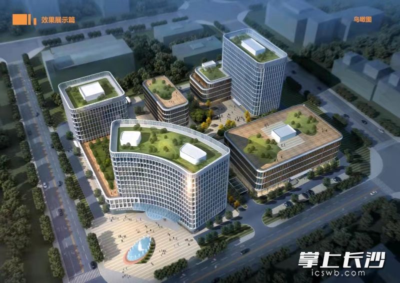 隆平生物种业创新中心项目效果图。