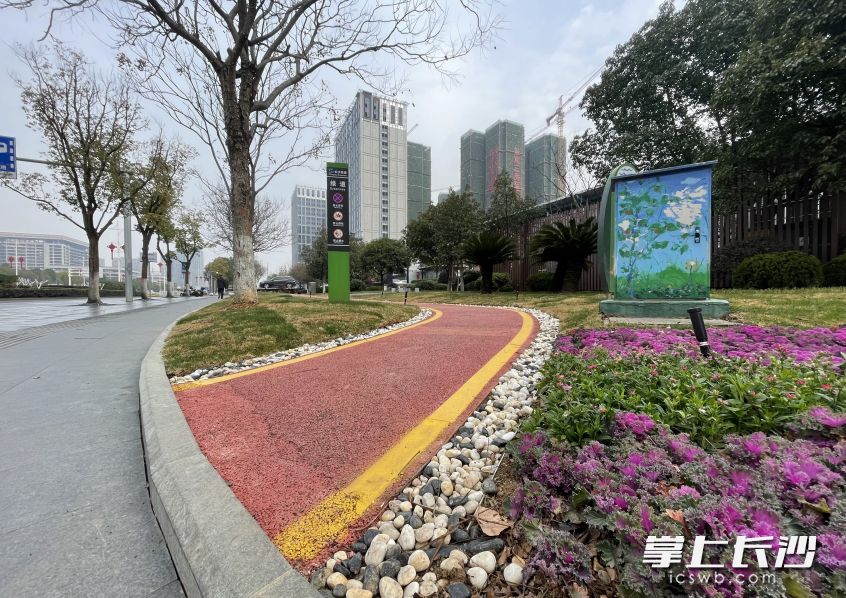 芙蓉南路正在实施品质提升工程，两侧绿化带越来越美。全媒体记者 邹麟 摄