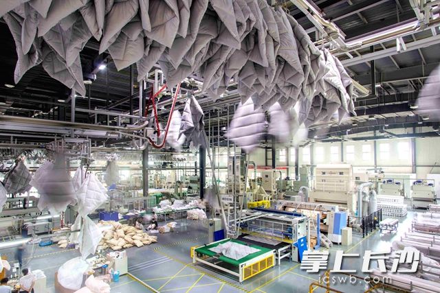 该企业每年设计新品款数达到500款左右。