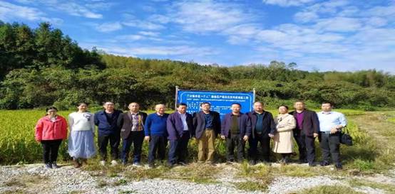 6c9eaf179728dc9fe20ecf18247b384