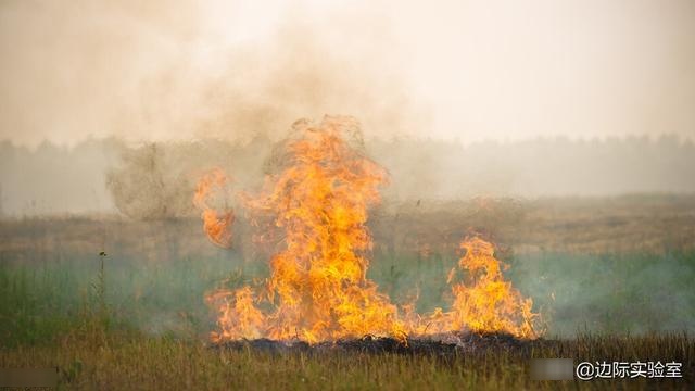 绿色知识：全球频发的野火与气候变暖没有关系