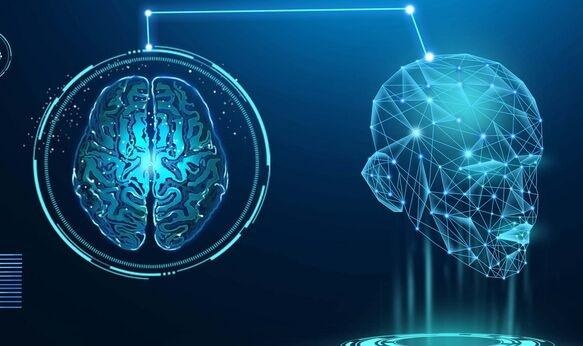 人工智能避免成“人工智障”,关键或许还在人类大脑中