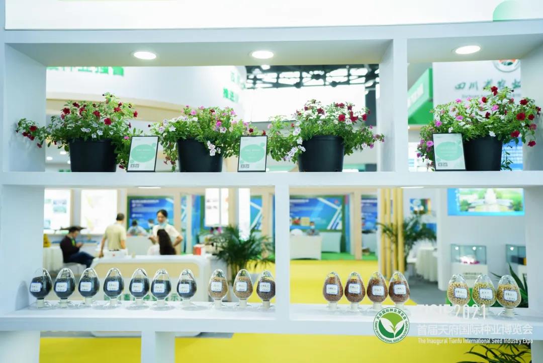 首届天府国际种业博览会33.jpg