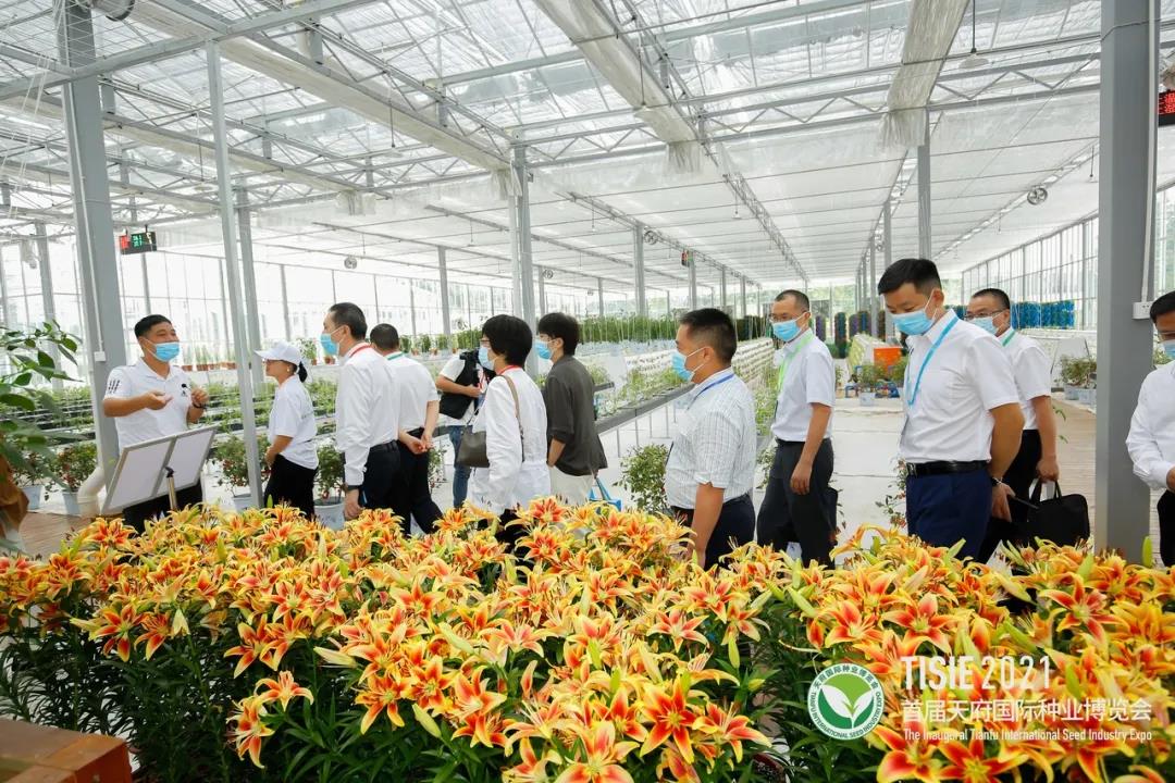 首届天府国际种业博览会31.jpg