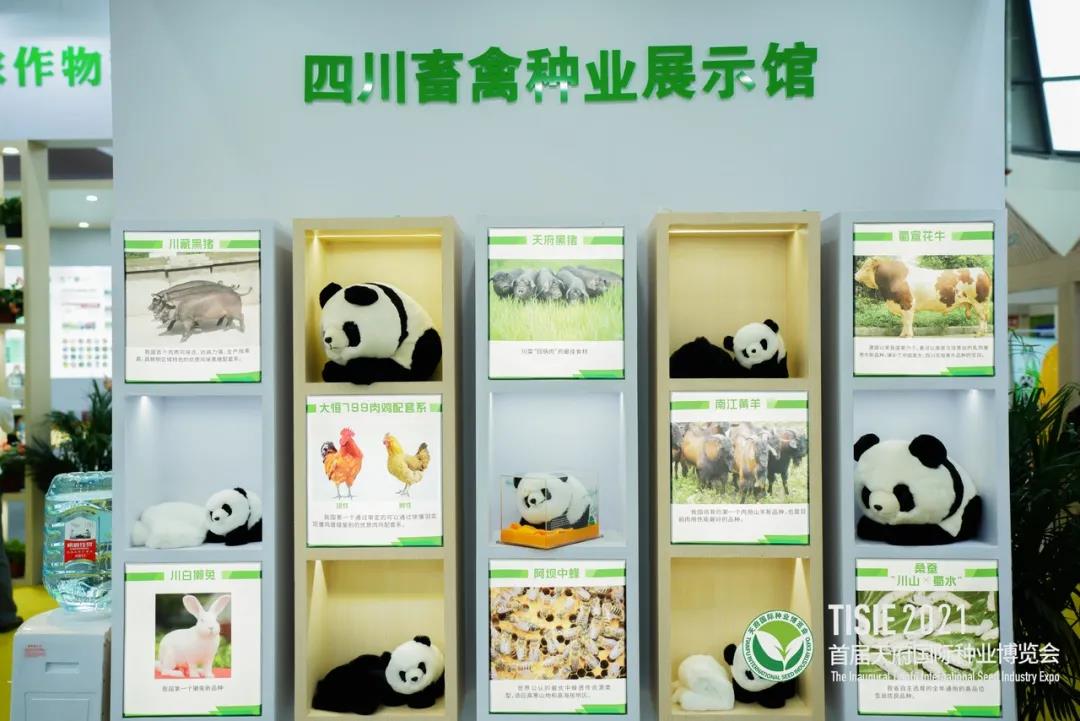 首届天府国际种业博览会45.jpg