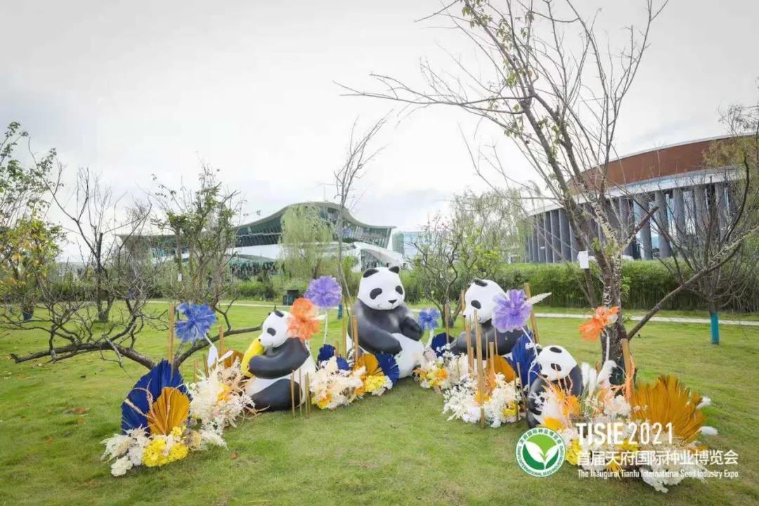首届天府国际种业博览会53.jpg