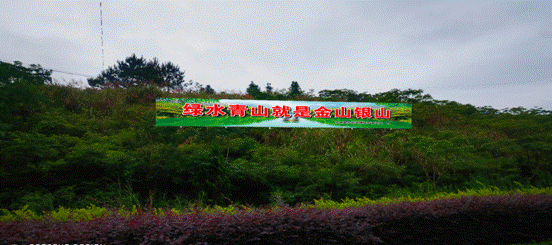 79ac31dded3bc2aac9a68410dfe3f03