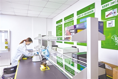 <p>　　　　在盐池滩羊产业集团，技术人员正在对样本进行基因分型检测。</p>