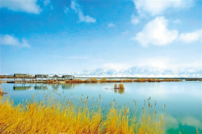 <p>　　青铜峡库区湿地。（图片由自治区林草局提供）</p>