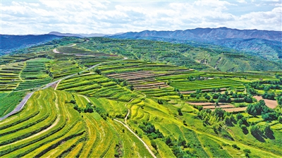 <p>　　围绕先行区建设，彭阳县规划“一屏三带多廊多点”生态布局，提升生态系统质量。							　　本报记者　剡文鑫　摄</p>