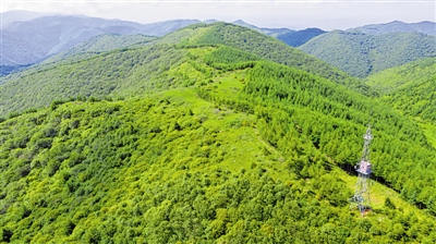 <p>　　绿意蔓延六盘山。宁夏着力推进以“三山”为主的自然保护区环境整治和能力建设。				　　　（图片由自治区林草局提供）</p>