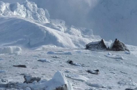 如果冰川全部融化,会发生什么事?人类在这种情况下会如何生存