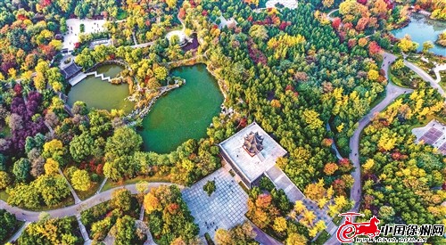 res01_attpic_brief (1).jpg