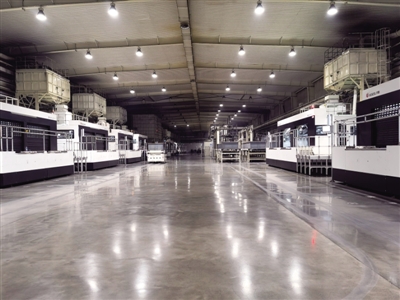 <p> 吴忠市红寺堡区谷子绿色高质高效节水生产技术试验示范基地种植的新品种谷子。</p>