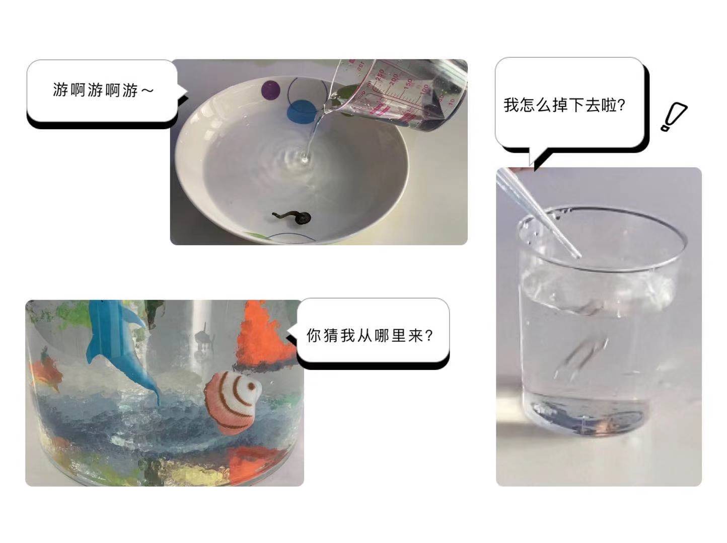 亲子活动;科学实验;中国科技馆