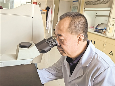 <p>　　梁小军在实验室工作。</p>