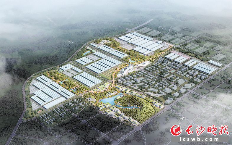 中联智慧产业城效果图