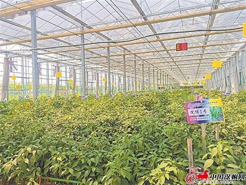 res01_attpic_brief (1).jpg