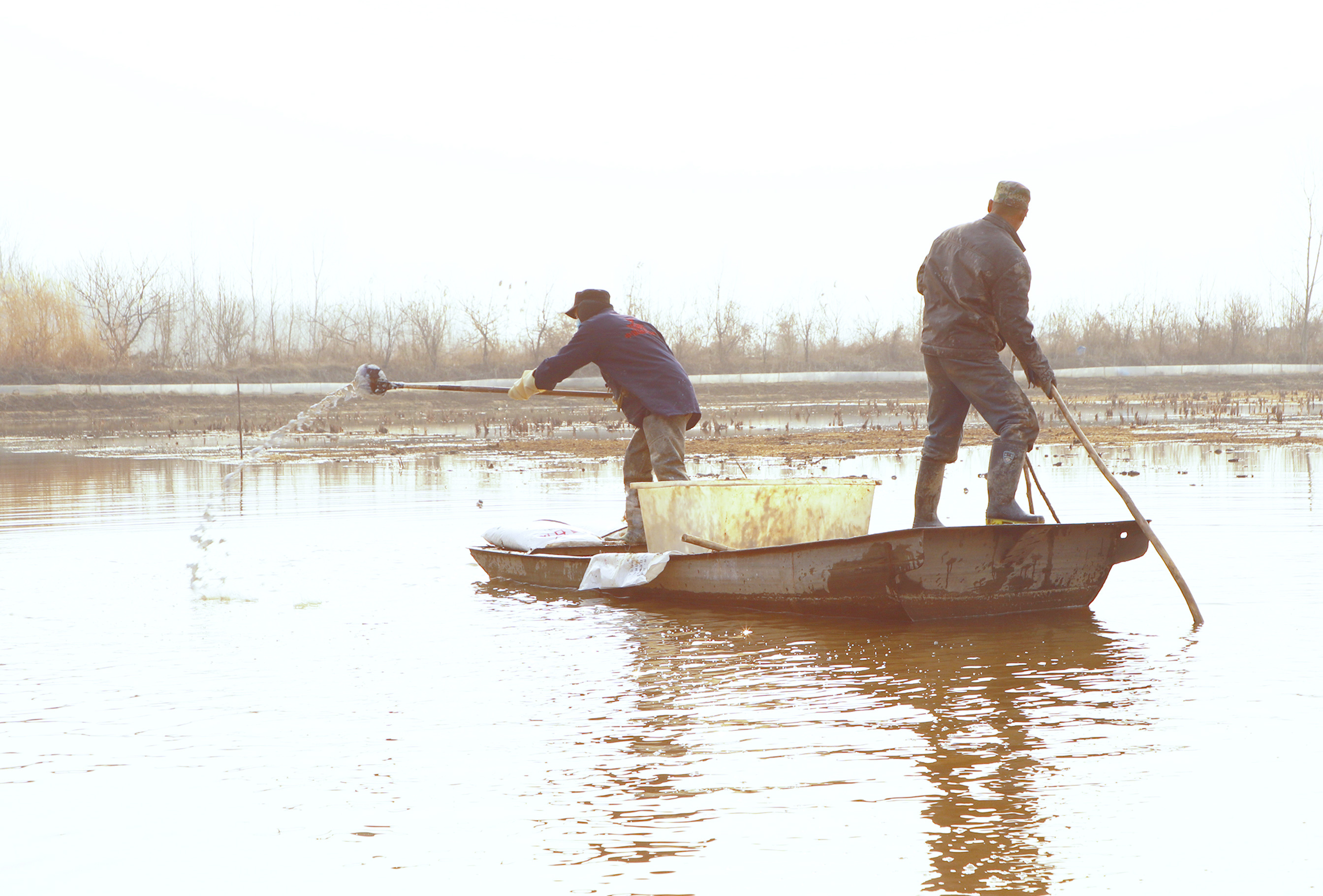 邳州运河边的养蟹人给蟹塘投料。  摄影：李绍强