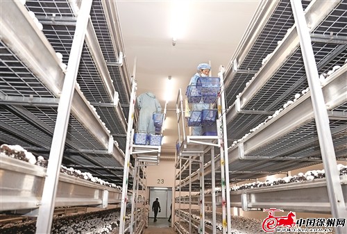 res01_attpic_brief (1).jpg