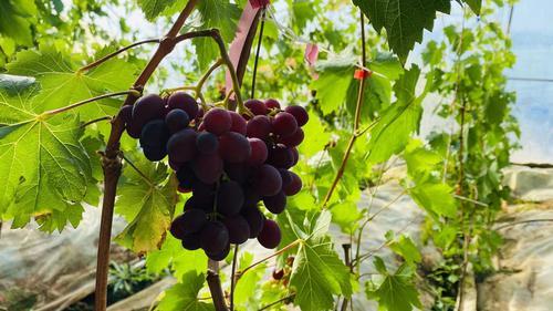 binary_middle.do (215).jpg