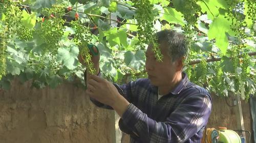 binary_middle.do (214).jpg