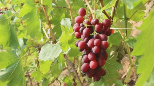 binary_middle.do (216).jpg